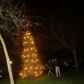 IMG_1317659