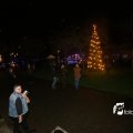 IMG_1317688