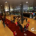 IMG_1321231