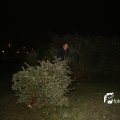 IMG_1322502