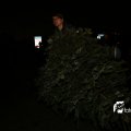 IMG_1322517