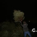 IMG_1322521