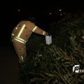 IMG_1322591