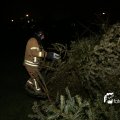 IMG_1322594