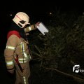 IMG_1322595