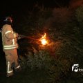 IMG_1322622