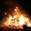 IMG_1322686