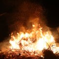 IMG_1322687