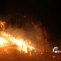 IMG_1322826