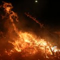 IMG_1322833