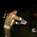 IMG_1322893
