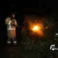 IMG_1322912