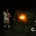 IMG_1322913