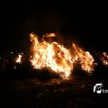 IMG_1322931