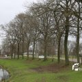 IMG_1324828