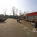 IMG_1326608