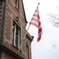 IMG_1331794