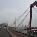 IMG_1331818