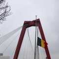IMG_1331854
