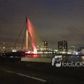 IMG_8918 (1)