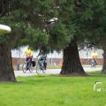 IMG_1331982