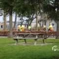 IMG_1331987