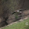 IMG_1332359