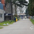 IMG_1332701
