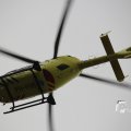 IMG_1333017