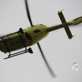 IMG_1333018