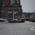 IMG_1333101
