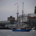 IMG_1333108