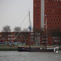 IMG_1333115