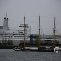 IMG_1333124