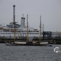 IMG_1333127