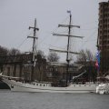 IMG_1333137