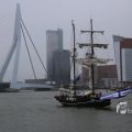 IMG_1333161