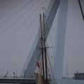 IMG_1333179