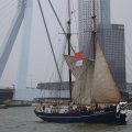 IMG_1333187