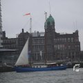 IMG_1333203