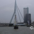IMG_1333206
