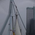 IMG_1333212
