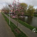 IMG_1333253
