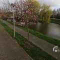 IMG_1333254