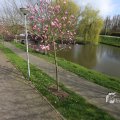 IMG_1333255