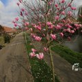 IMG_1333257