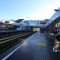 IMG_1333259