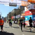 IMG_1335584