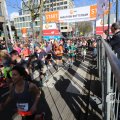 IMG_1334358