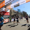 IMG_1339384